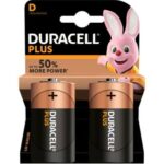 PILA ALKALINA LR20 - D / 1,5 V (BLISTER 2)