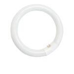 TUBO FLUORESCENTE CIRCULAR 22 W. LUZ DIA